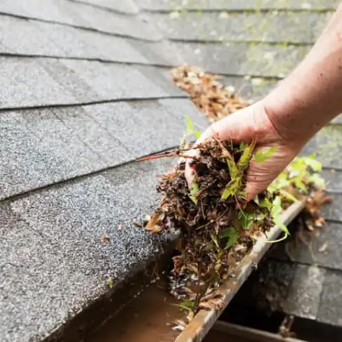 Dirty gutters lead to problems down the road. They are breeding grounds for algae and bacterial growth.