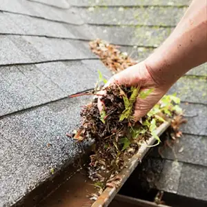 We Clean Gutters to make sure they flow correctly. Trinity Window Cleaning